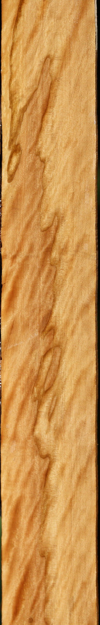 Extra Fancy Castello Boxwood Micro Lumber