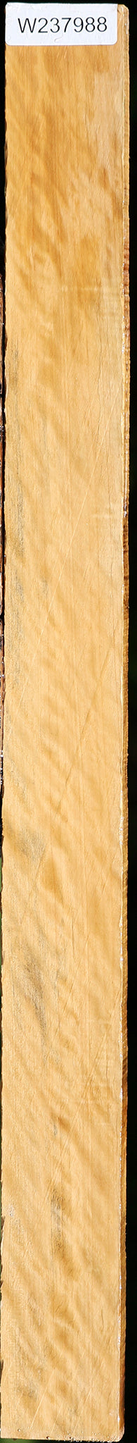 Extra Fancy Castello Boxwood Lumber