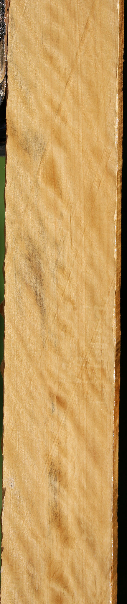 Extra Fancy Castello Boxwood Lumber