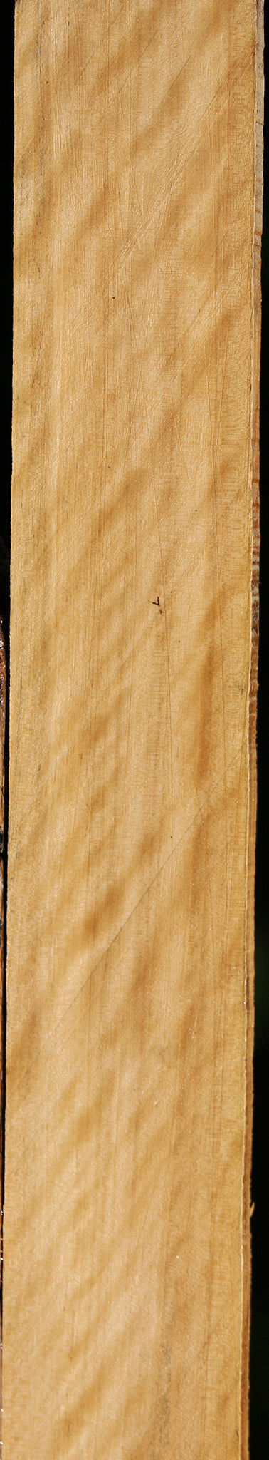 Extra Fancy Castello Boxwood Lumber