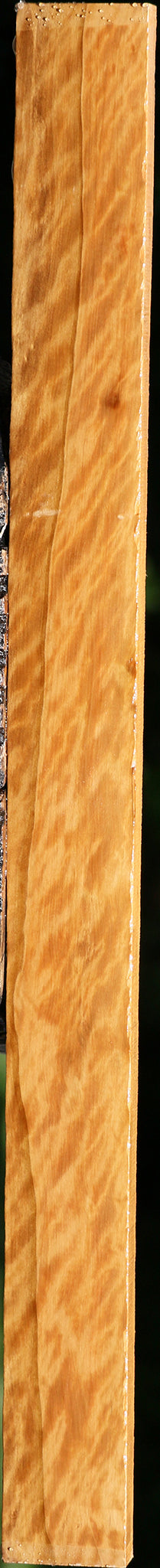 Extra Fancy Castello Boxwood Lumber