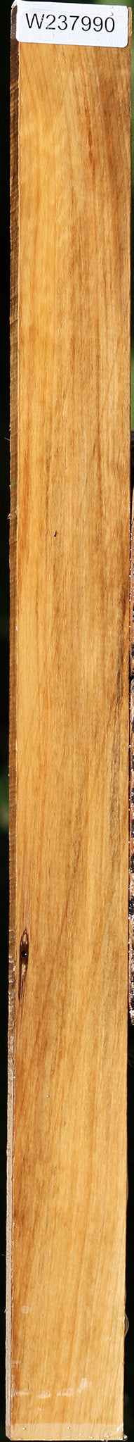 Castello Boxwood Lumber