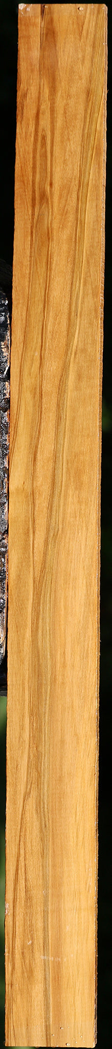 Castello Boxwood Lumber