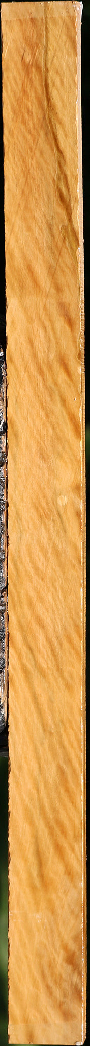 Extra Fancy Castello Boxwood Lumber