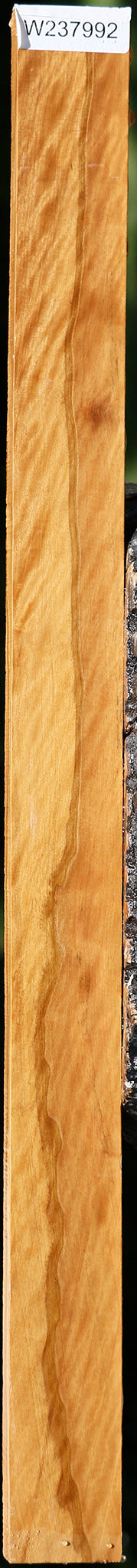 Extra Fancy Castello Boxwood Lumber