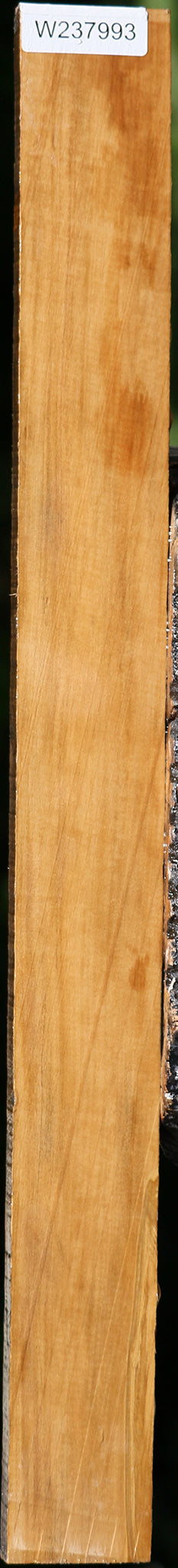 Castello Boxwood Lumber