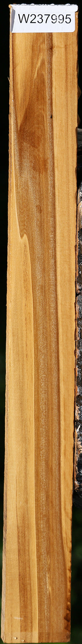 Castello Boxwood Lumber