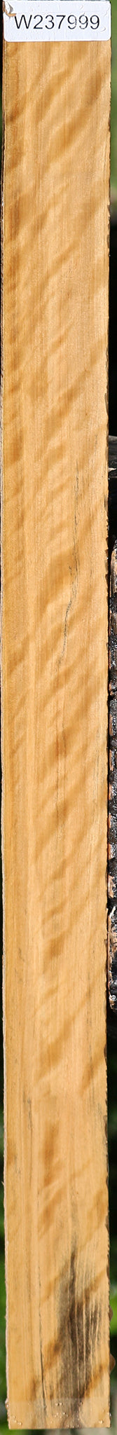 Extra Fancy Castello Boxwood Lumber