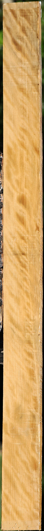 Extra Fancy Castello Boxwood Lumber