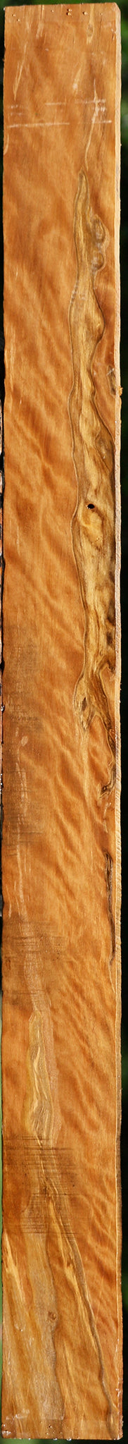 Extra Fancy Castello Boxwood Lumber