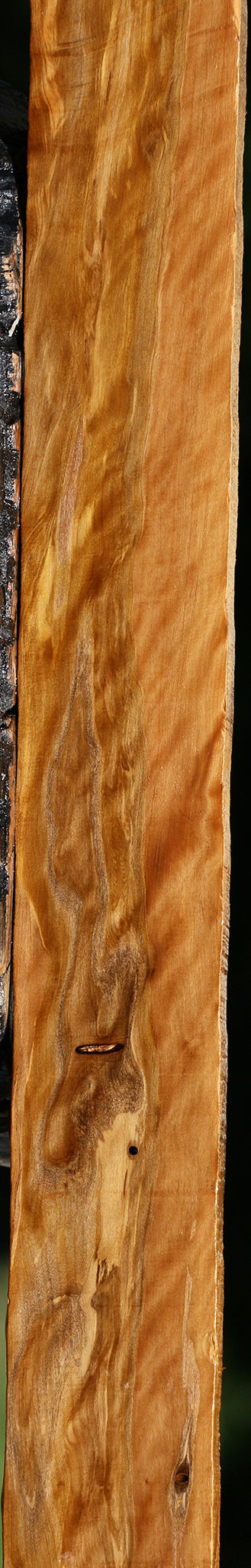 Extra Fancy Castello Boxwood Lumber