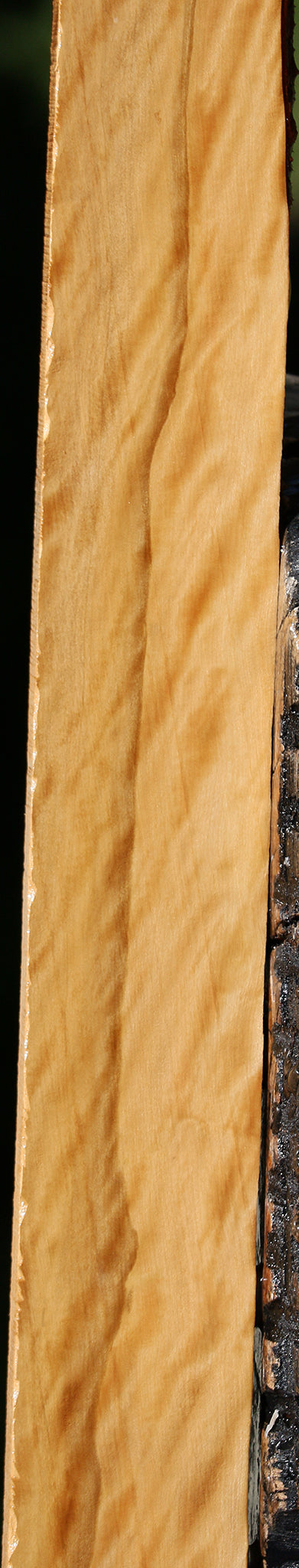 Extra Fancy Castello Boxwood Lumber