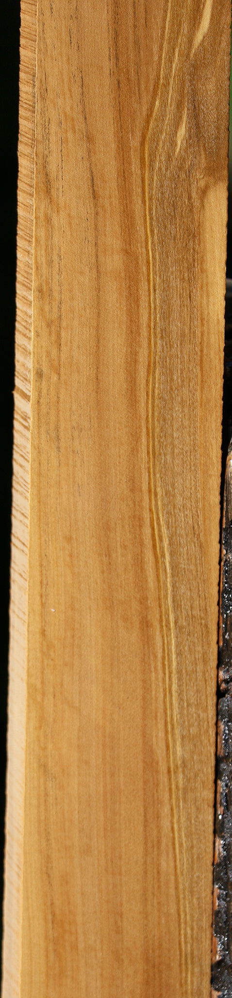 Castello Boxwood Lumber