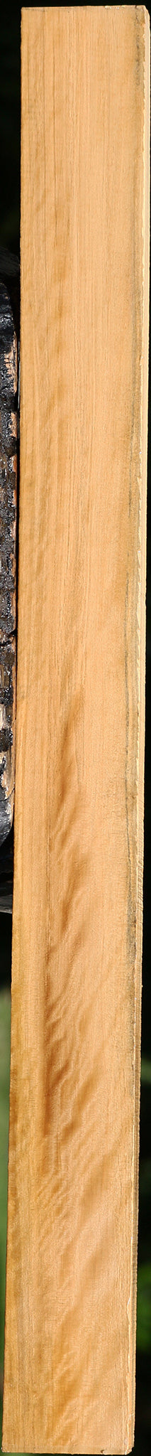 Extra Fancy Castello Boxwood Lumber