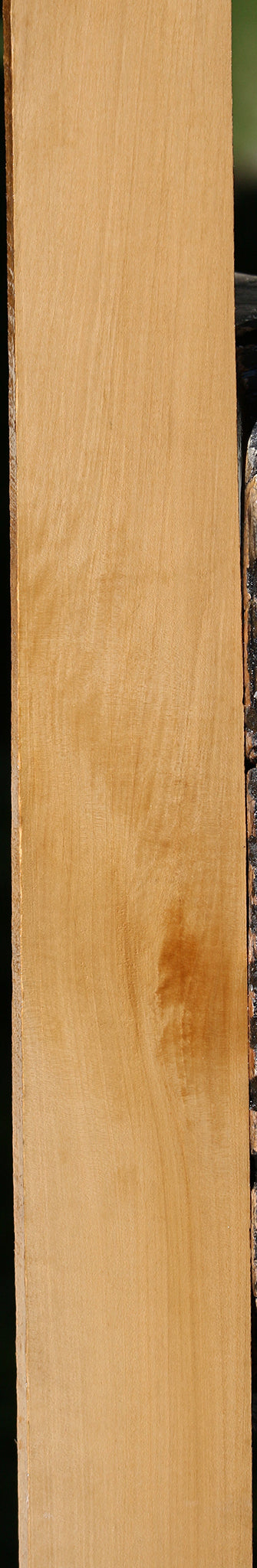 Castello Boxwood Lumber