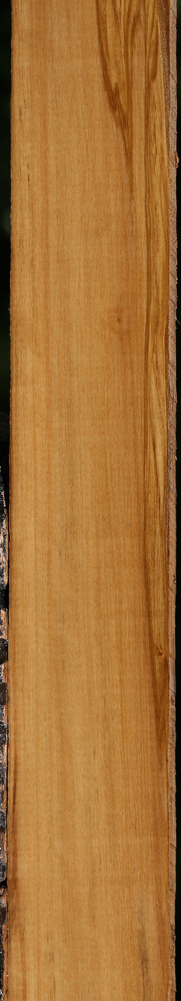 Castello Boxwood Lumber