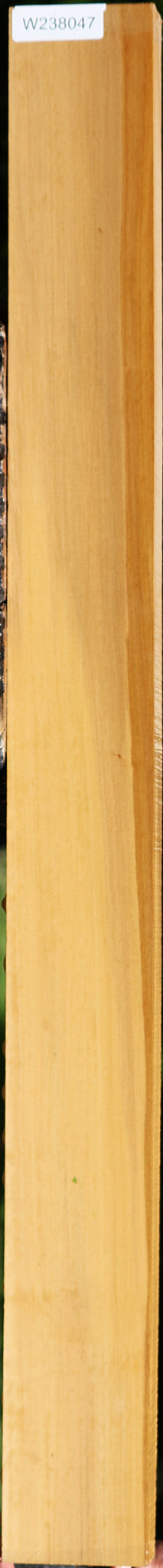 Castello Boxwood Lumber