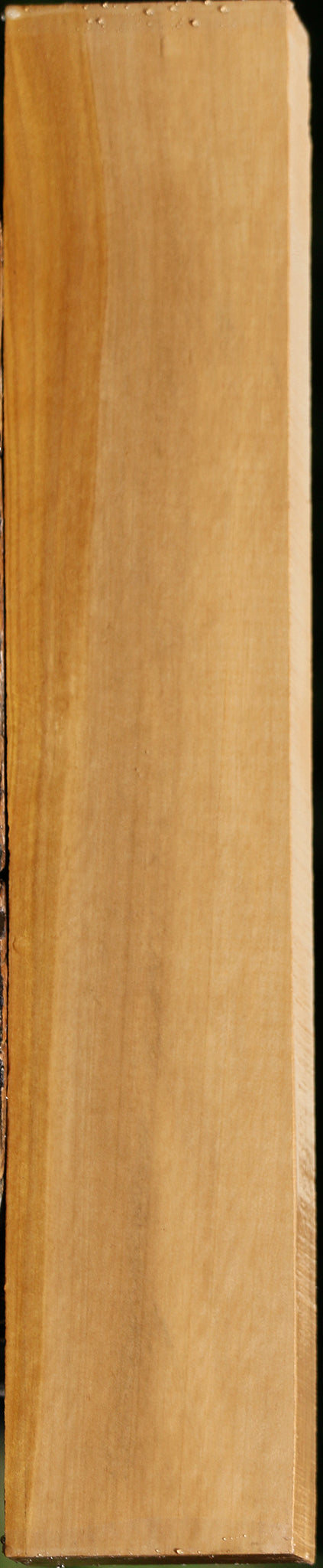 Castello Boxwood Lumber