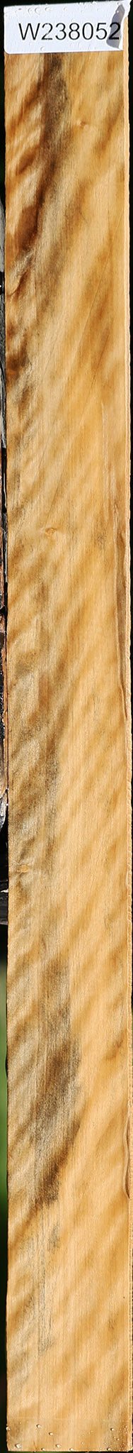 Extra Fancy Castello Boxwood Micro Lumber