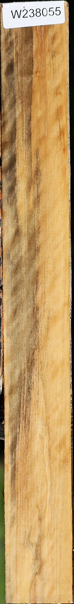 Extra Fancy Castello Boxwood Micro Lumber