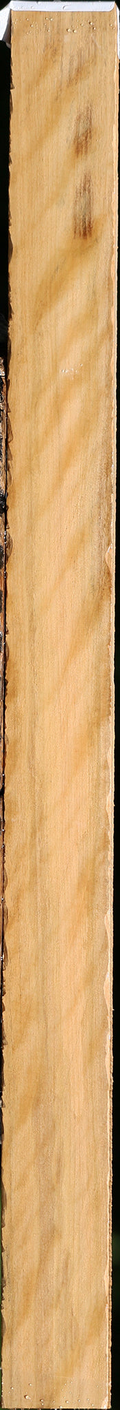 Extra Fancy Castello Boxwood Lumber