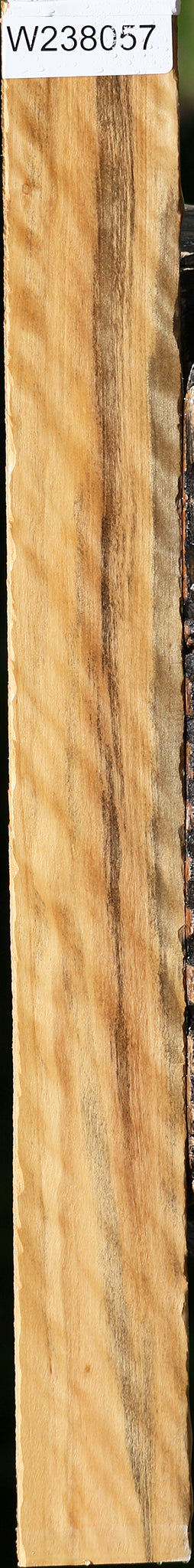 Extra Fancy Castello Boxwood Micro Lumber