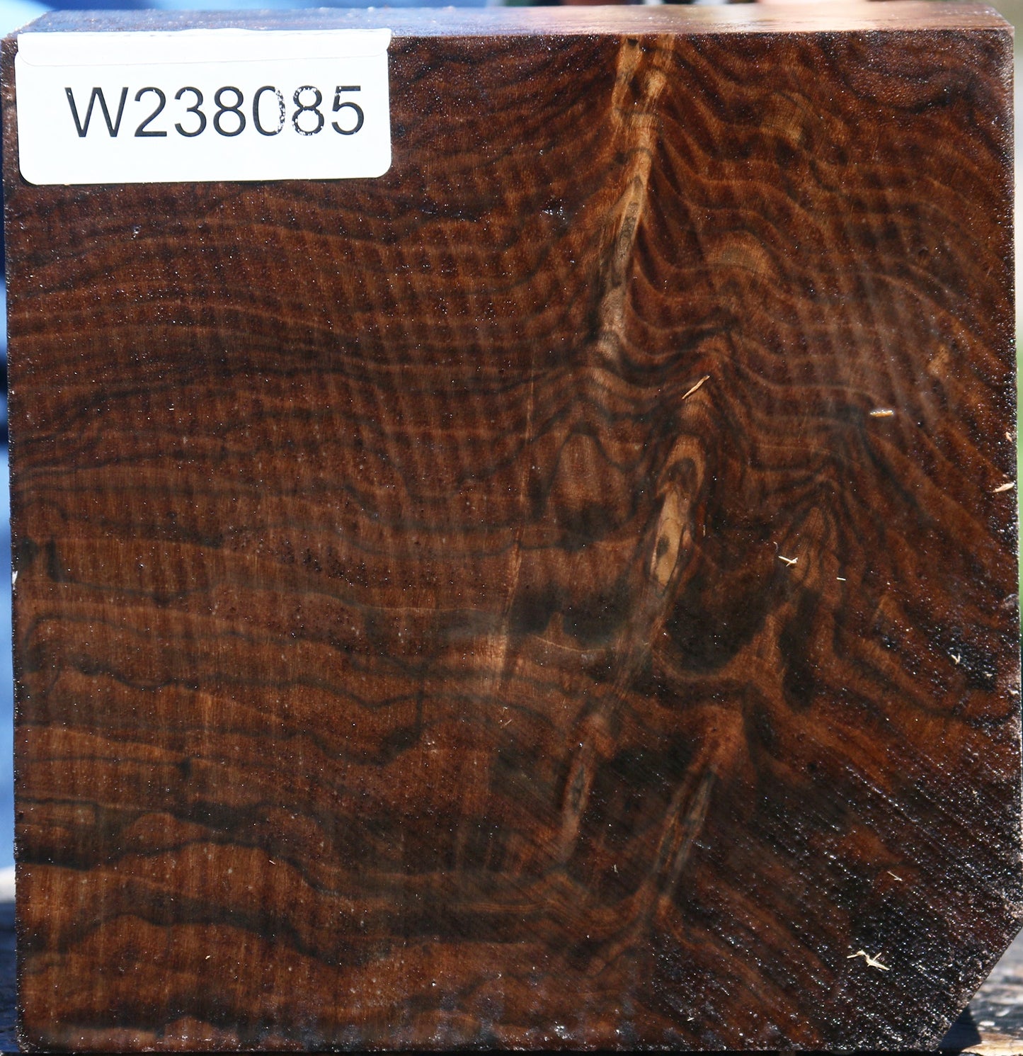 Figured Claro Walnut Bowl Blank