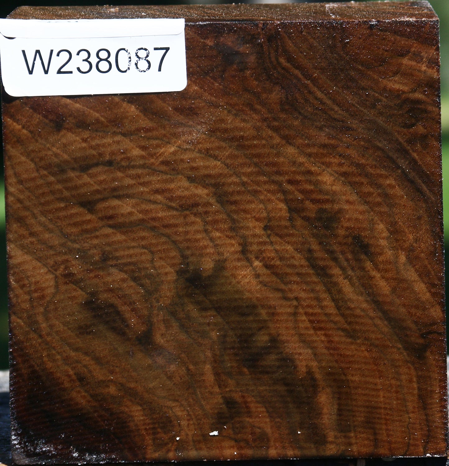 Figured Claro Walnut Bowl Blank