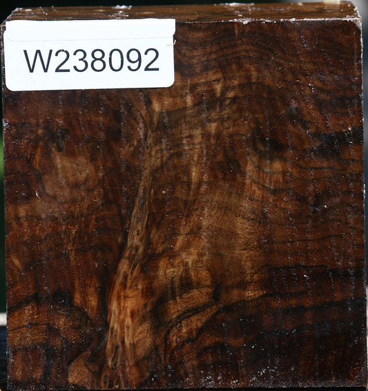 Extra Fancy Claro Walnut Bowl Blank