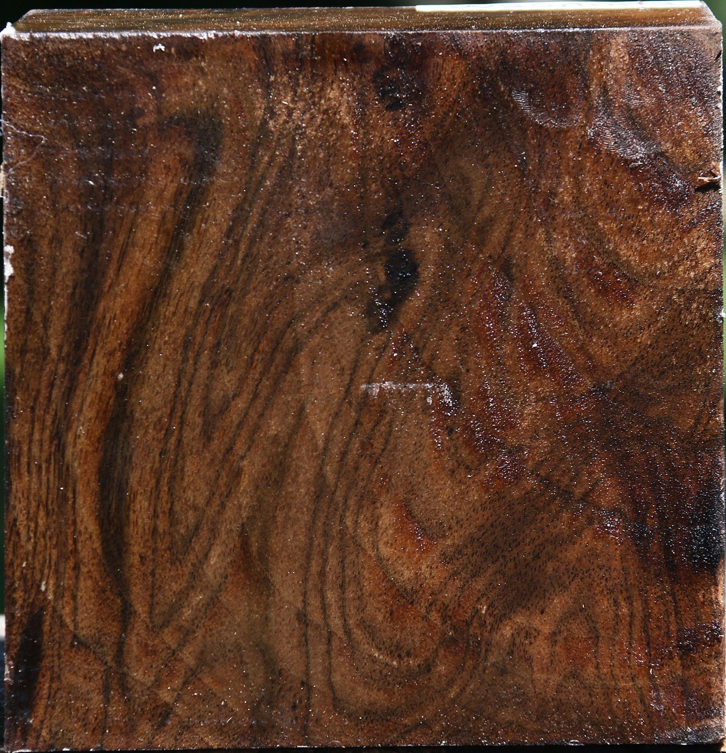 Figured Claro Walnut Bowl Blank