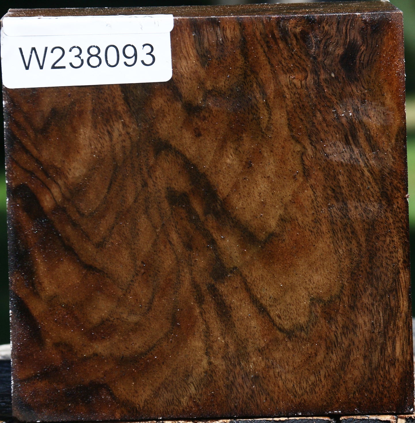 Figured Claro Walnut Bowl Blank