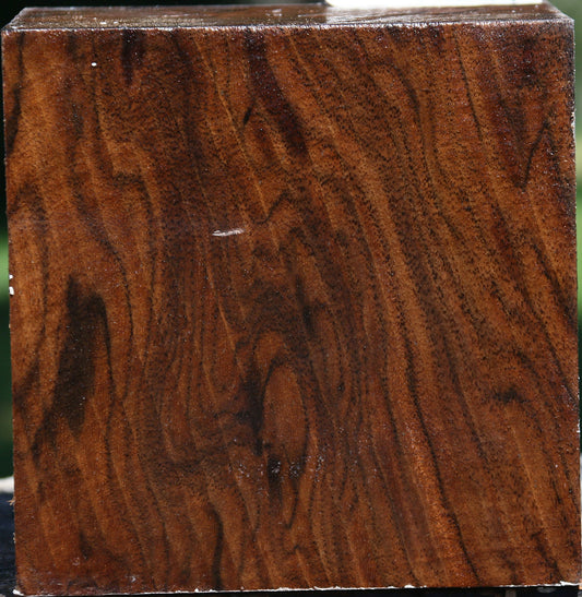 Extra Fancy Claro Walnut Bowl Blank