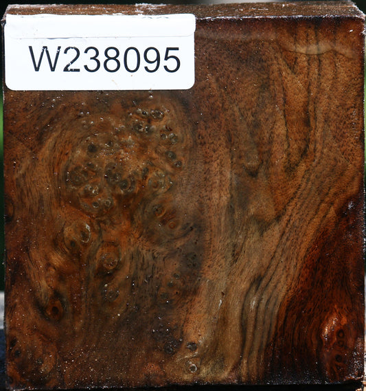 Extra Fancy Claro Walnut Bowl Blank