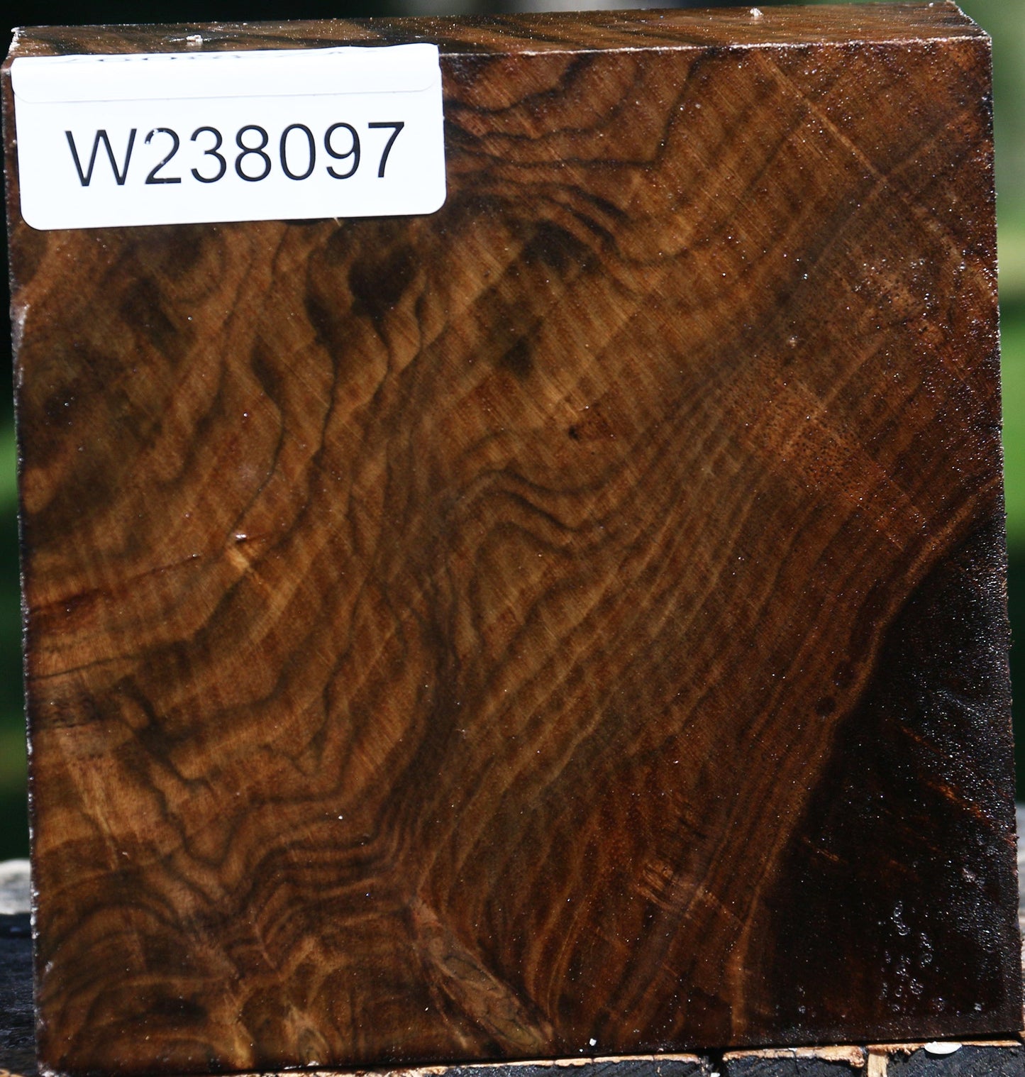 Figured Claro Walnut Bowl Blank