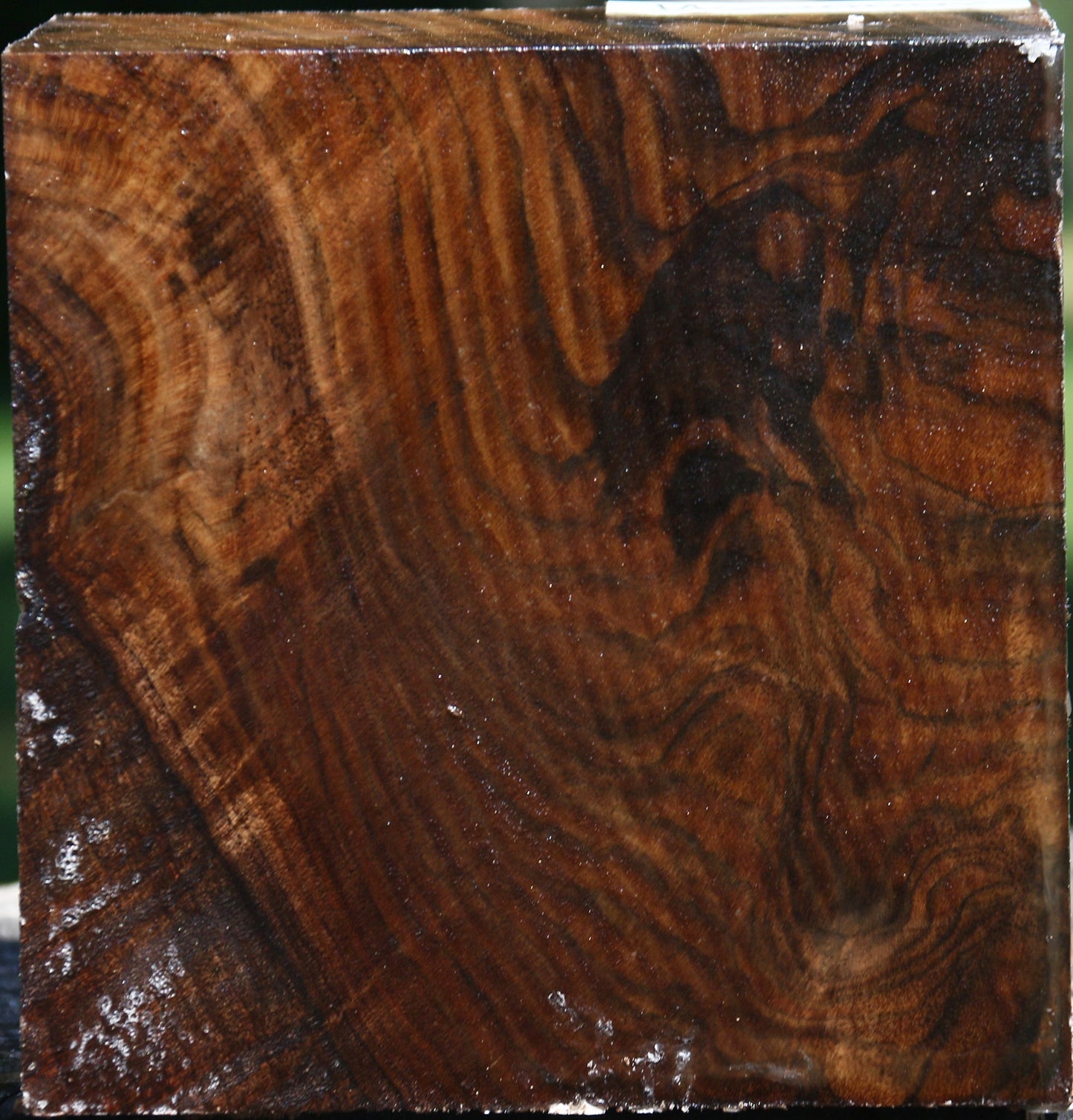 Figured Claro Walnut Bowl Blank