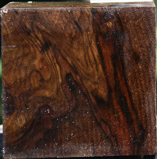 Figured Claro Walnut Bowl Blank