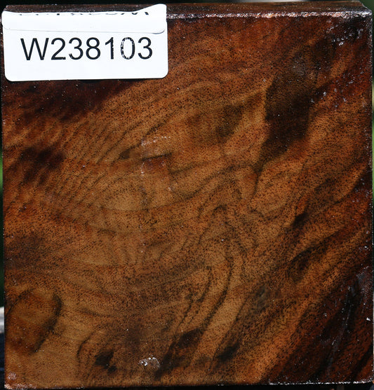 Claro Walnut Bowl Blank