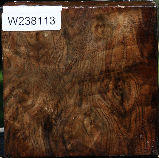 Extra Fancy Claro Walnut Bowl Blank