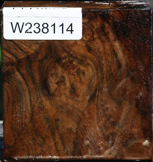 Claro Walnut Burl Bowl Blank