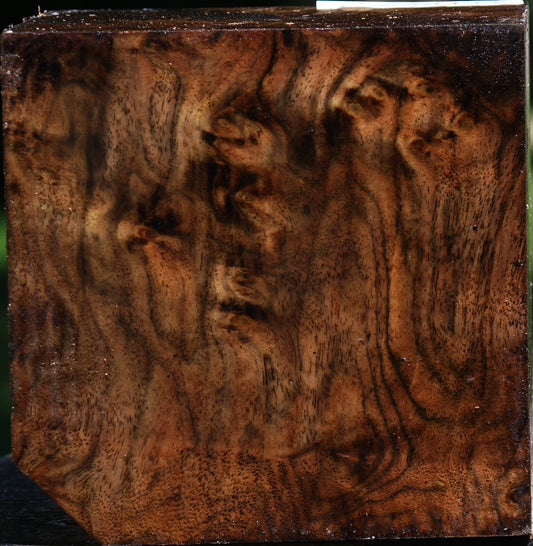 Extra Fancy Claro Walnut Bowl Blank