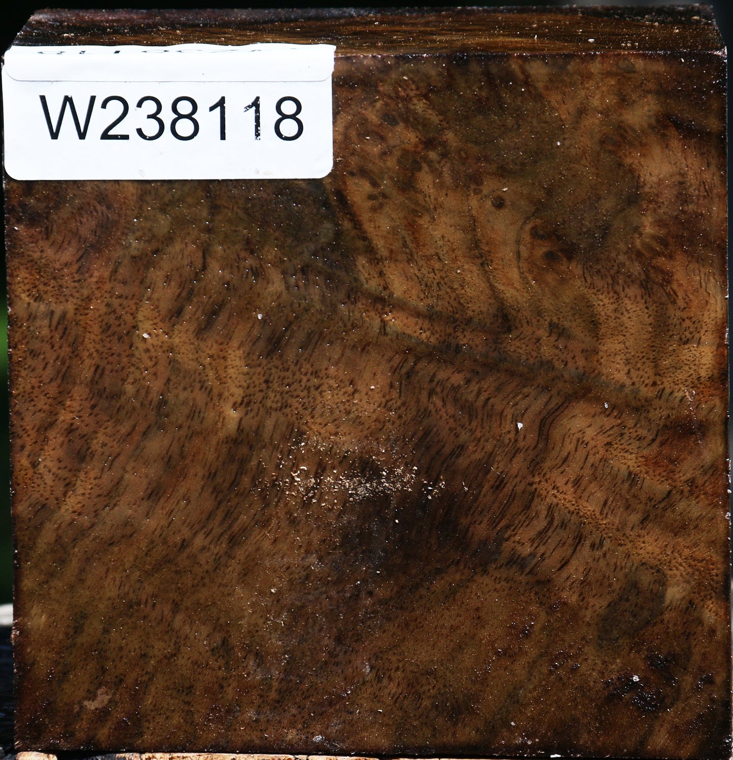 Figured Claro Walnut Bowl Blank