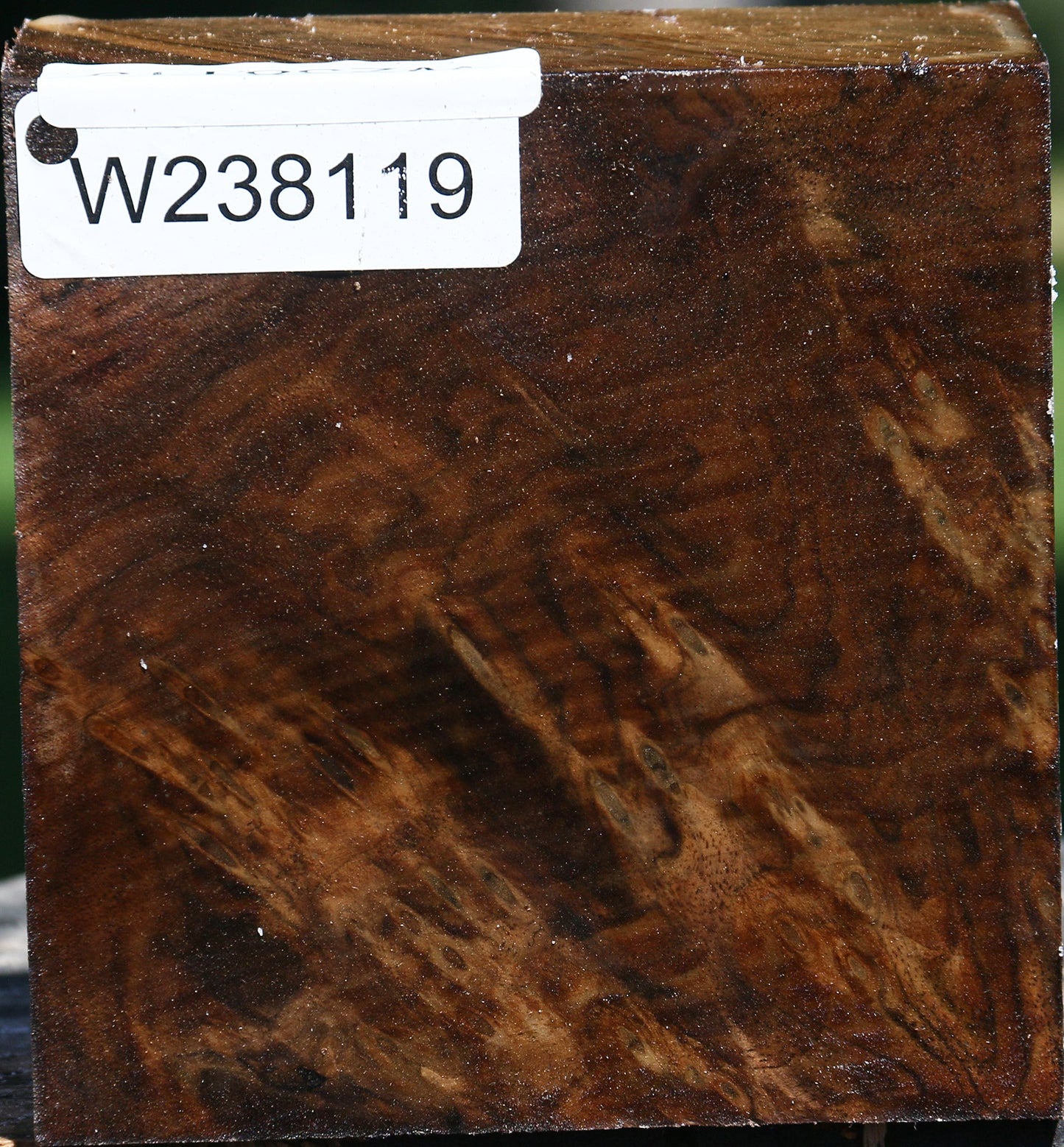 Figured Claro Walnut Bowl Blank