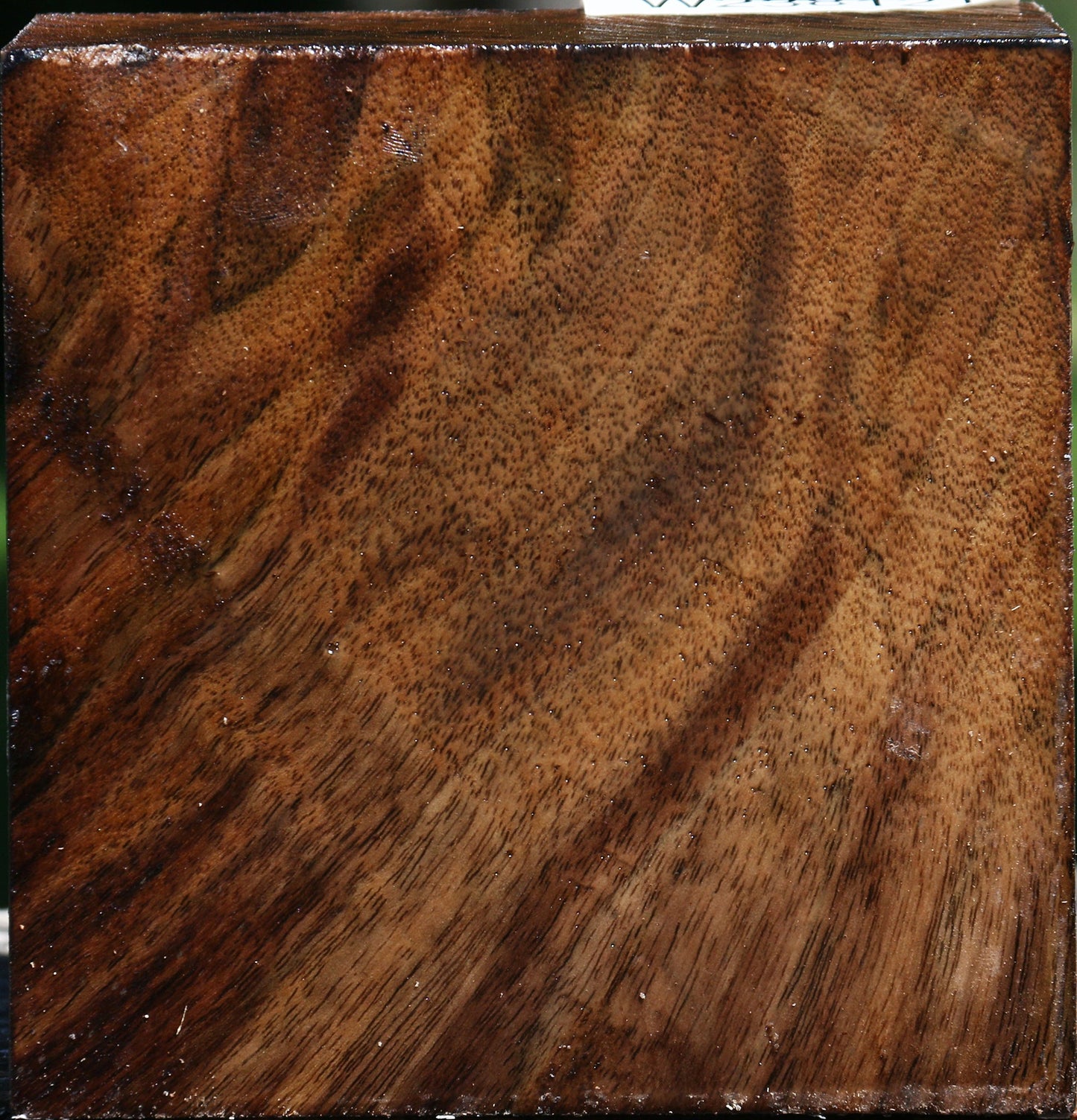 Claro Walnut Bowl Blank