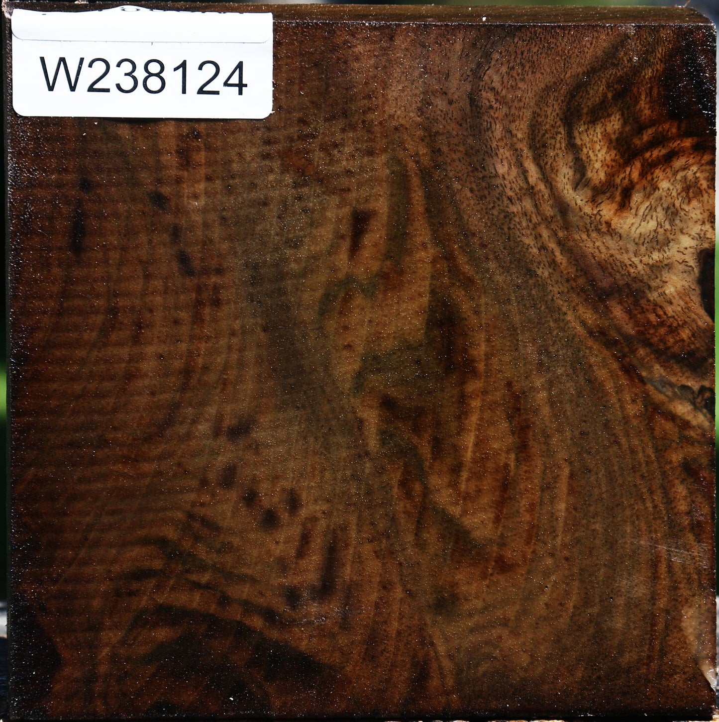 Claro Walnut Bowl Blank