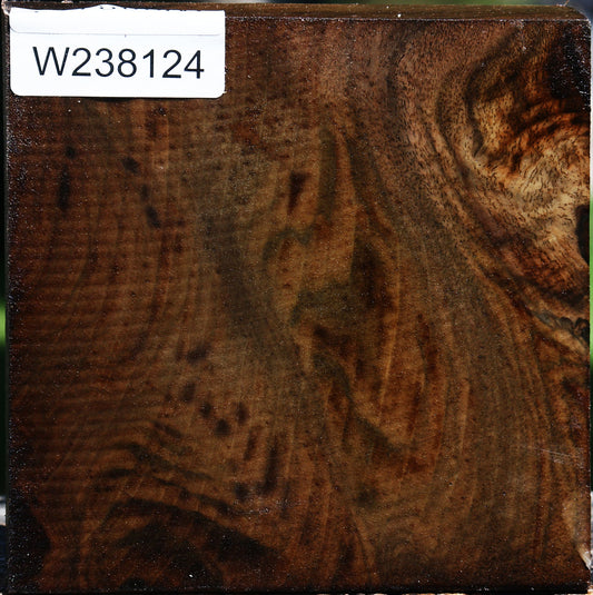 Claro Walnut Bowl Blank