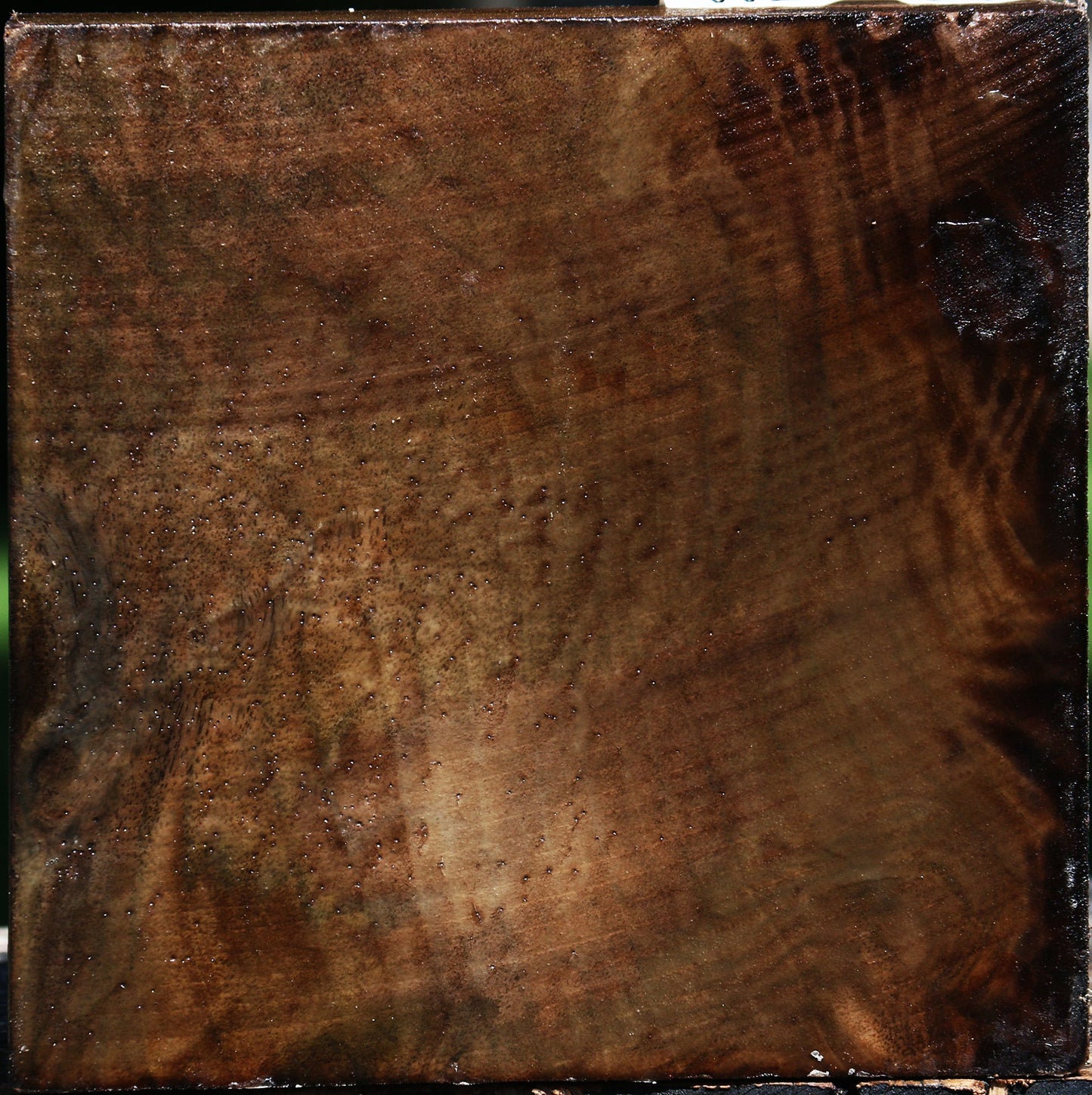 Claro Walnut Bowl Blank