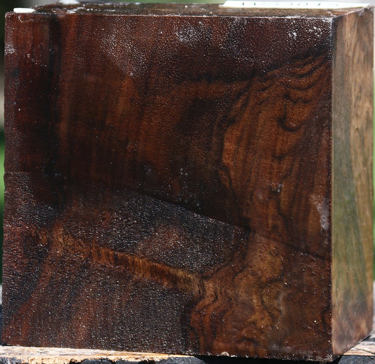 Figured Claro Walnut Bowl Blank