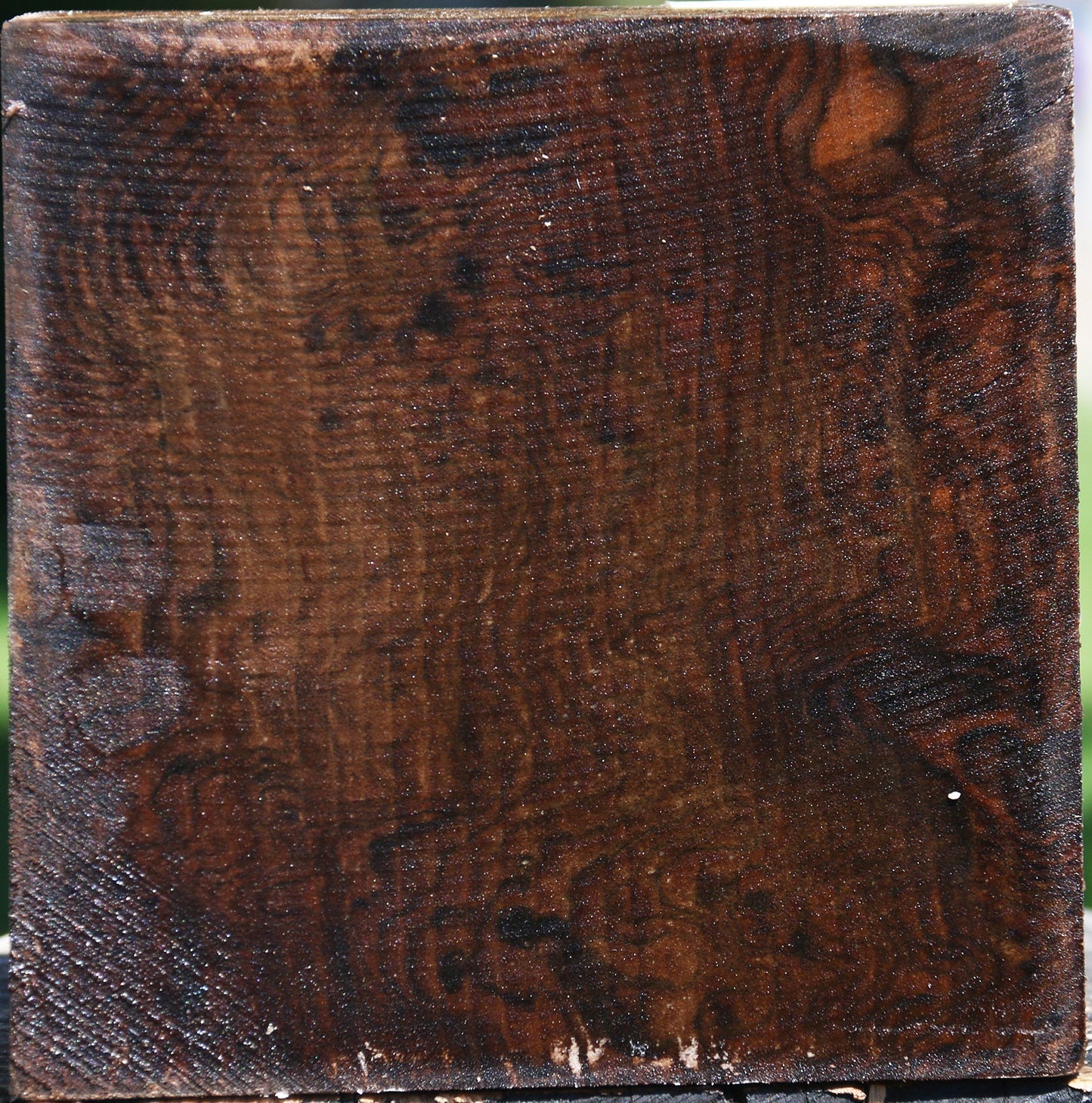 Figured Claro Walnut Bowl Blank