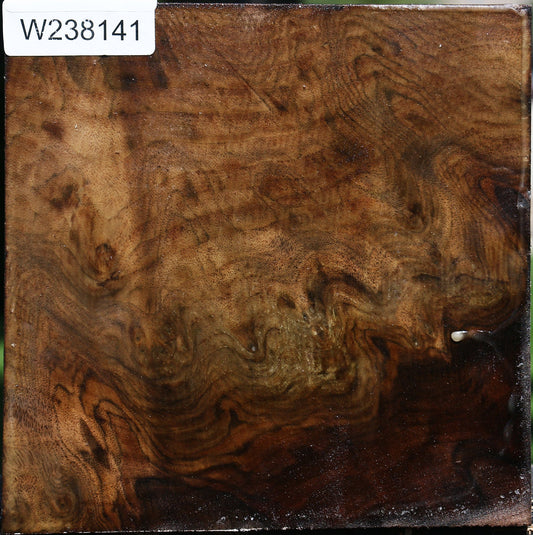 Extra Fancy Claro Walnut Bowl Blank