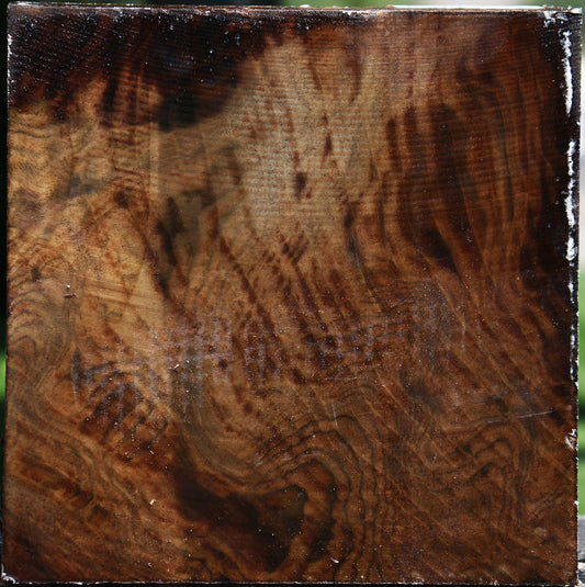 Figured Claro Walnut Bowl Blank